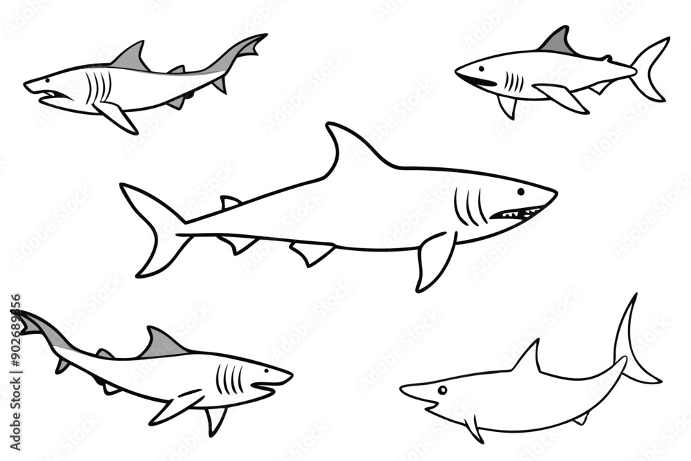 Shark line art illustration Design Concepts Shark line art illustration Design Concepts