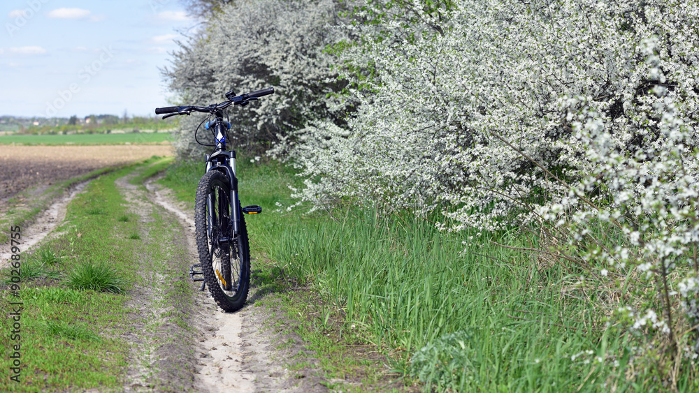 Naklejka premium mountain bike stands on a field path with green grass. cycling. Mountain bike. outdoor cycling activities. spring season, good weather. bicycle stands near a flowering tree