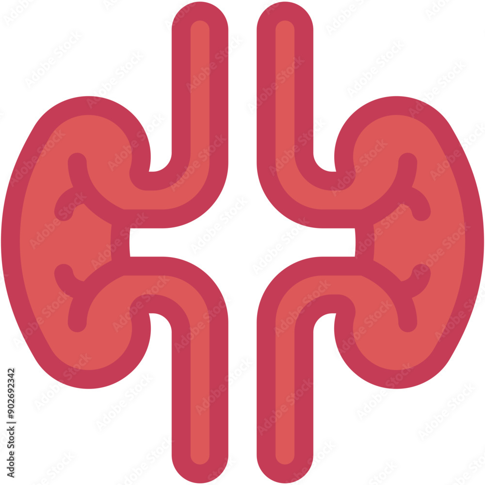 Obraz premium Kidney, Biology, Healthcare and Medical, Organ, Body Part Icon