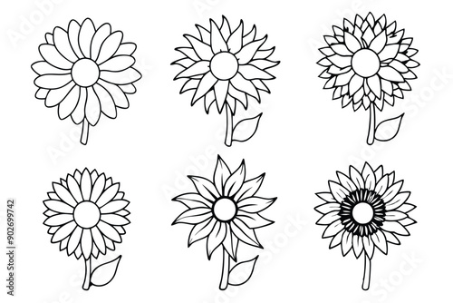 Sunflower line art illustration Design Concepts