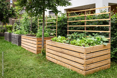 Garden Raised Bed in Community Garden. Modern High Wooden Garden Beds in Vegetables Garden.