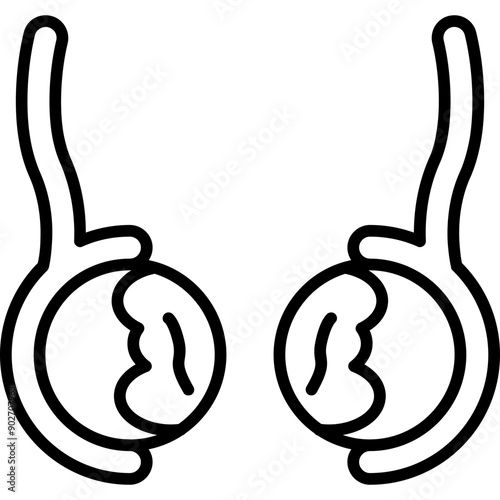 Epididymis Icon