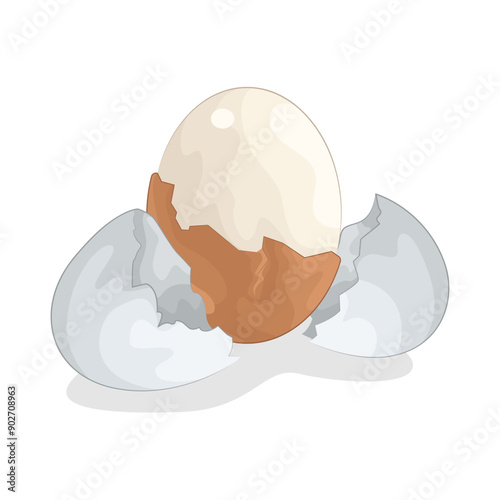 Illustration of boiled egg 