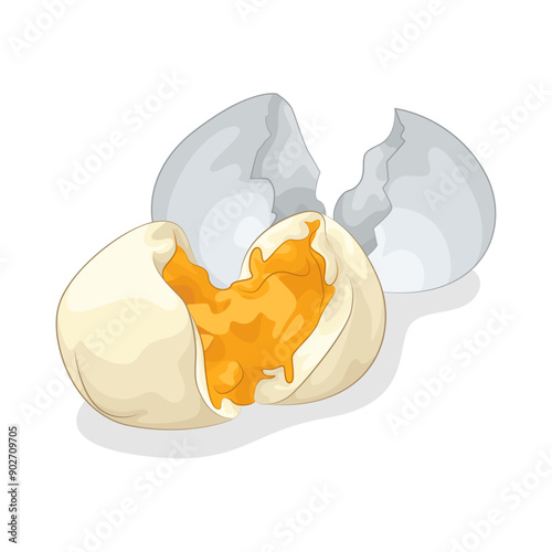 Illustration of boiled egg 