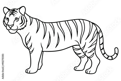 Tiger line art illustration Design Concepts