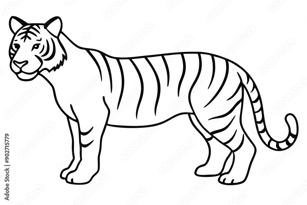 Fototapeta premium Tiger line art illustration Design Concepts