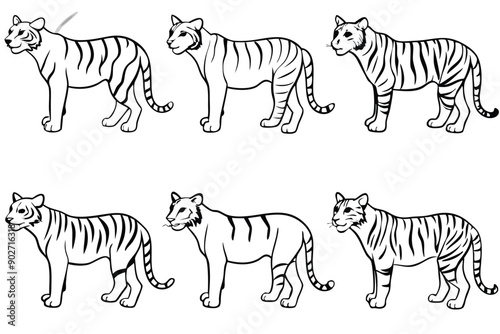 Tiger line art illustration Design Concepts