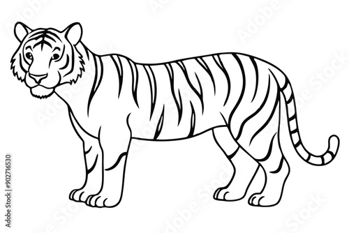 Tiger line art illustration Design Concepts