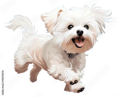 PNG Dog maltese terrier mammal.