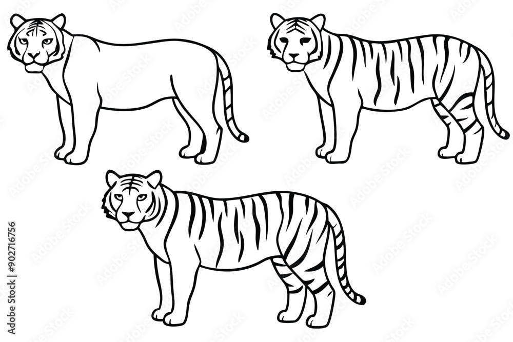 Fototapeta premium Tiger line art illustration Design Concepts