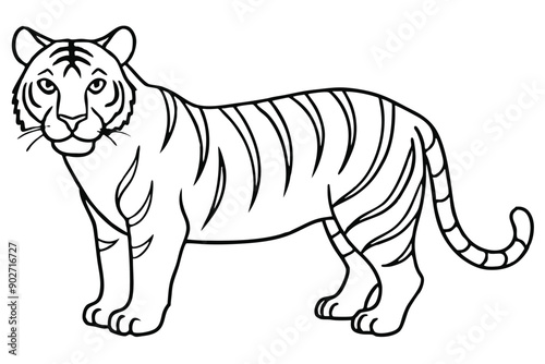 Tiger line art illustration Design Concepts