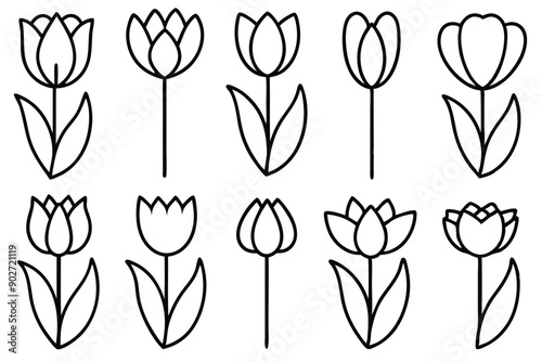 Tulip line art illustration Design Concepts