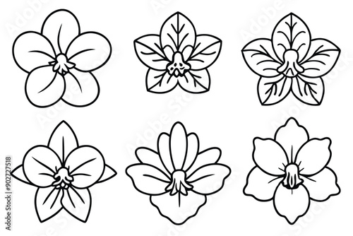 Violet line art illustration Design Concepts