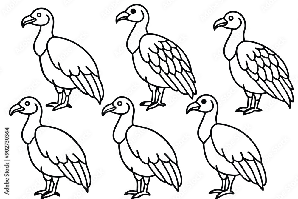 Vulture bird line art illustration Vulture bird line art illustration
