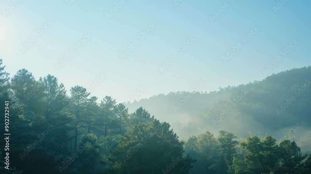 Naklejka premium A serene nature background with a sunlit forest and a clear blue sky