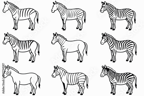Zebra line art illustration Design