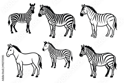 Zebra line art illustration Design