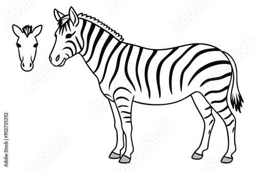 Zebra line art illustration Design