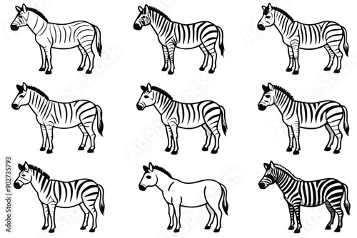 Zebra line art illustration Design
