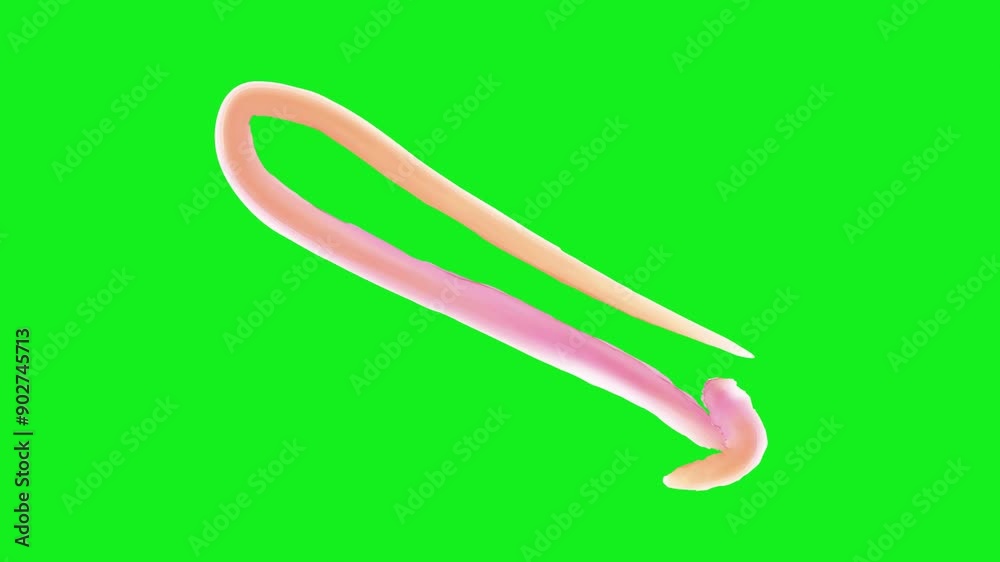 Brush arrows animation on green screen background. Brush arrows animation on green screen background.