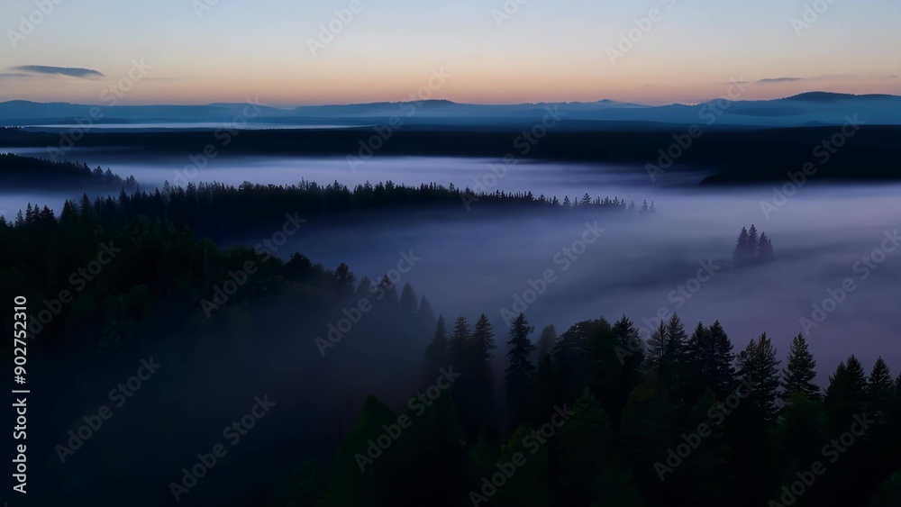 Misty forest at dawn with panoramic view Misty forest at dawn with panoramic view