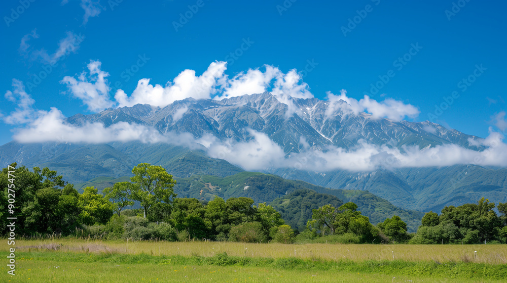 Fototapeta premium Mountain View