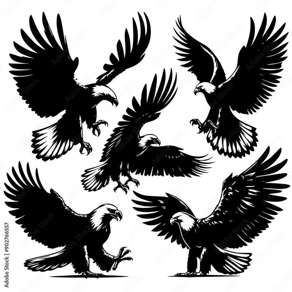 Fototapeta premium eagle with wings