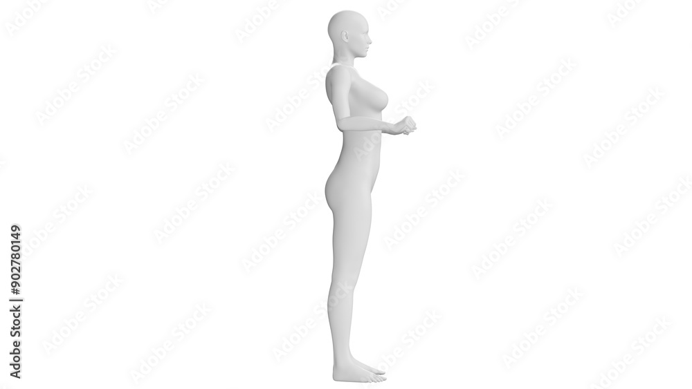 Female Mannequin in Strong Arm Pose Isolated on Transparent Background. Side View Female Mannequin in Strong Arm Pose Isolated on Transparent Background. Side View