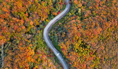 Nokchon-ri, Namyangju-si, Gyeonggi-do, South Korea - October 29, 2022: Aerial and atumnal view of curved road along maple forests on Baekbongsan Mountain 