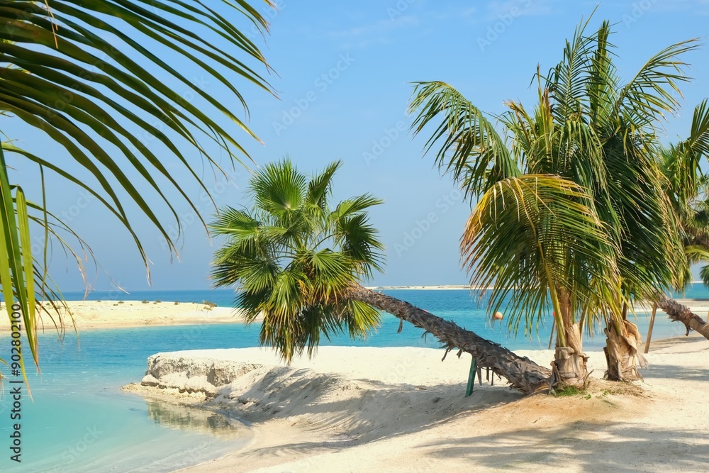 White sand beach with palm trees, turquoise sea gulf in the World Islands, Dubai, UAE. Summer tropical beach, vacation paradise, honeymoon background White sand beach with palm trees, turquoise sea gulf in the World Islands, Dubai, UAE. Summer tropical beach, vacation paradise, honeymoon background