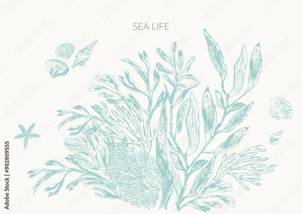Sea life background in light green color with seaweed plants, laminaria, fucus, corals