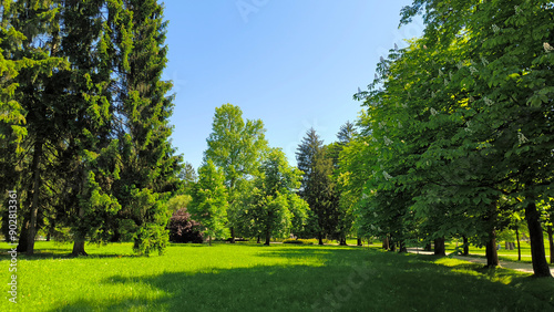 spring in Tivoli park in Ljubljana