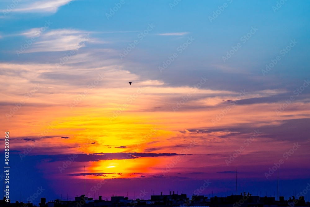 Sunset in a Cloudy Sky and Bird over City Rooftops Sunset in a Cloudy Sky and Bird over City Rooftops
