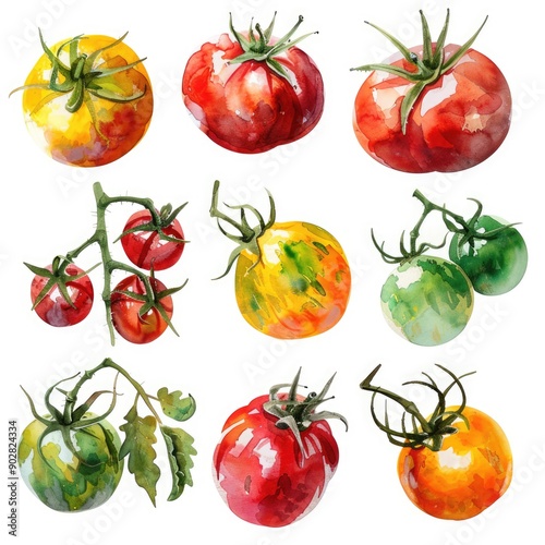 Vibrant Watercolor Illustration of Cherry Tomatoes on White Background