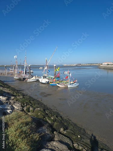 Barcos montijo