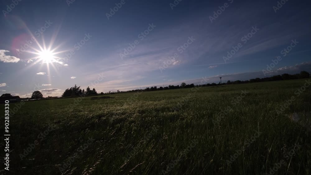 panorama of the Po valley with green wheat in sunny day. High quality 4k footage panorama of the Po valley with green wheat in sunny day. High quality 4k footage