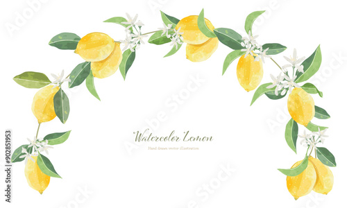 レモンのアーチ（フレーム）