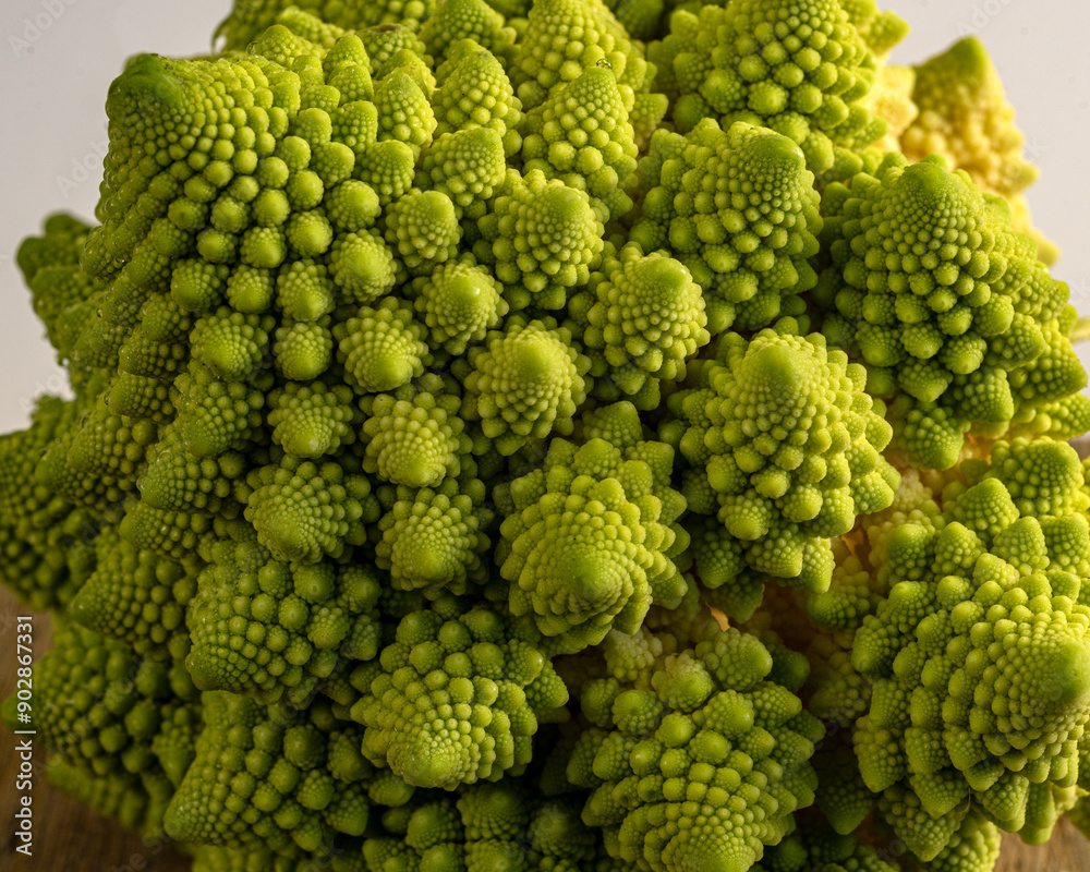 close-up photo of cabbage, branched inflorescence in middle of rosette of leaves, called cauliflower in botany