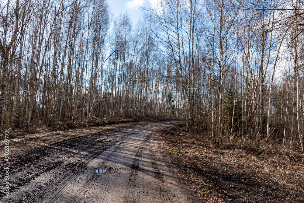 spring landscape with muddy swamp, forest road, spring, dirty wet road texture spring landscape with muddy swamp, forest road, spring, dirty wet road texture