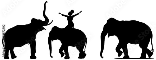 Set of circus elephants in black silhouette, isolated 