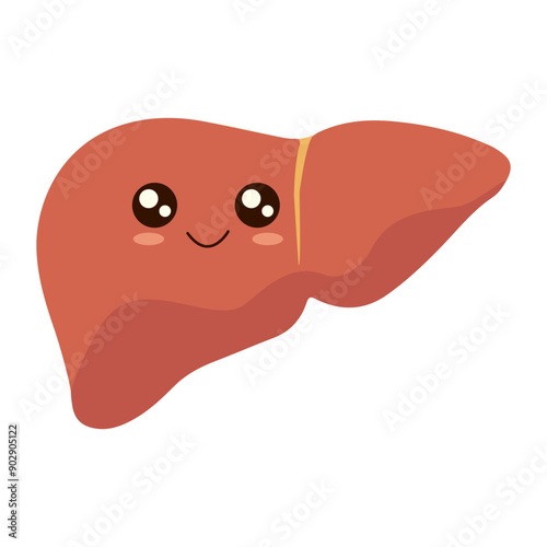 Healthy cute happy smiling Liver character. Flat style vector illustration cartoon funny cheerful organ liver for design