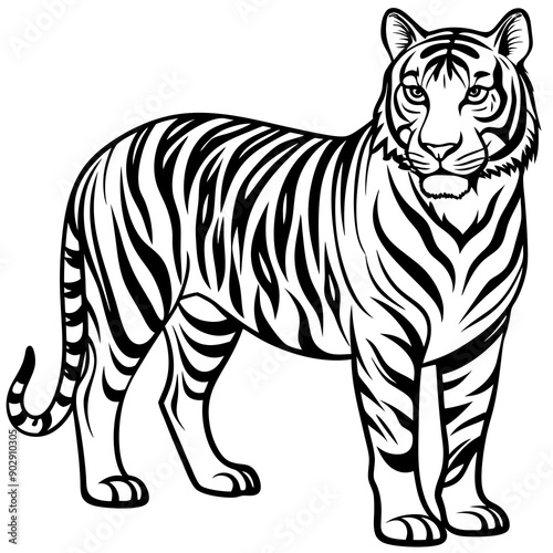 Wallpaper Mural Tiger sideways vector  Torontodigital.ca