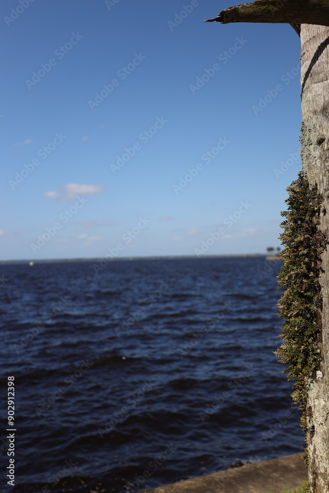 calm nature scenic landscape on the water calm nature scenic landscape on the water