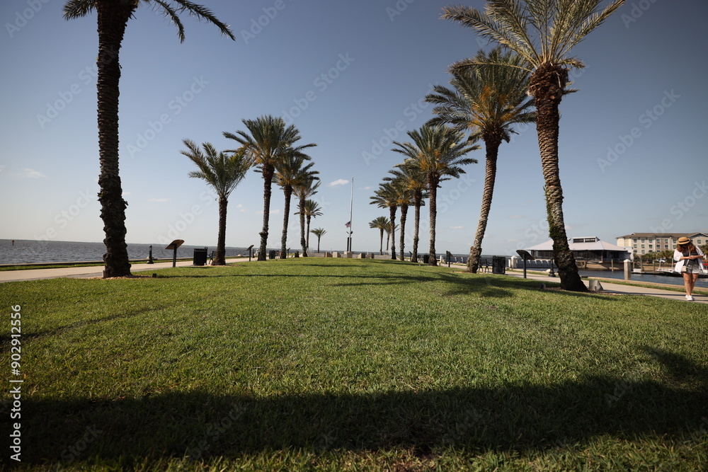 calm nature scenic landscape on the water calm nature scenic landscape on the water