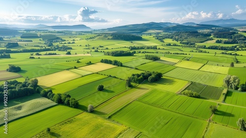 Breathtaking aerial view of lush green agricultural fields and rolling hills under a clear blue sky.