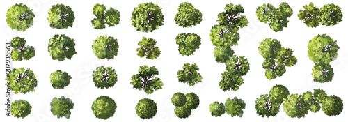 Vector set of Top view green tree for outdoor plan or map and architecture drawing, elements for environment and garden ,botanical elements ,Iblooming flowers in spring,tropical plants element