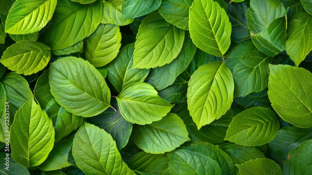 Green leaves background. Nature texture, ai Green leaves background. Nature texture, ai