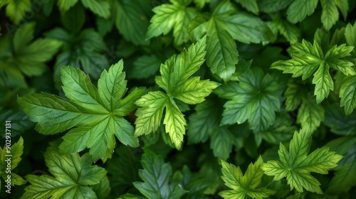 Green leaves background. Nature texture, ai