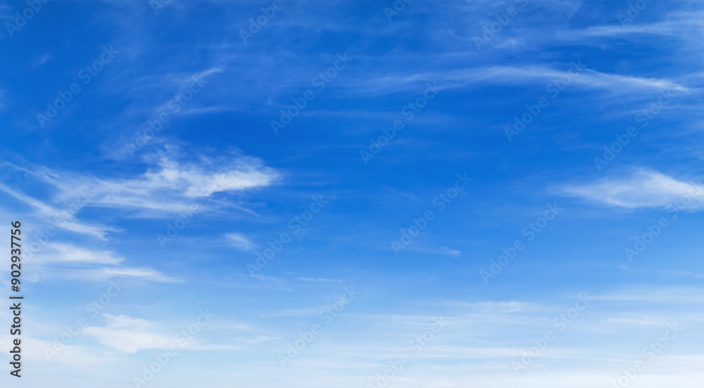 sky is blue and clear with no clouds sky is blue and clear with no clouds