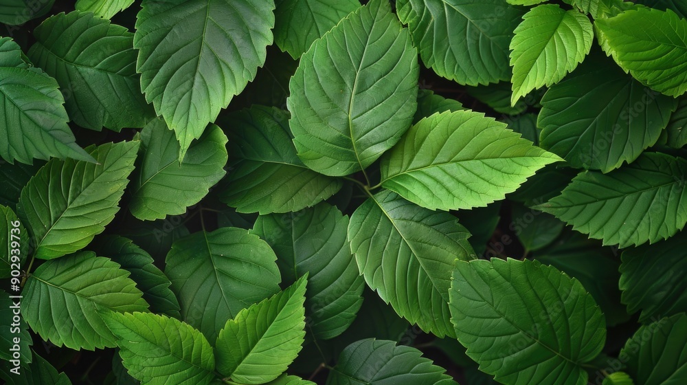 Green leaves background. Nature texture, ai Green leaves background. Nature texture, ai